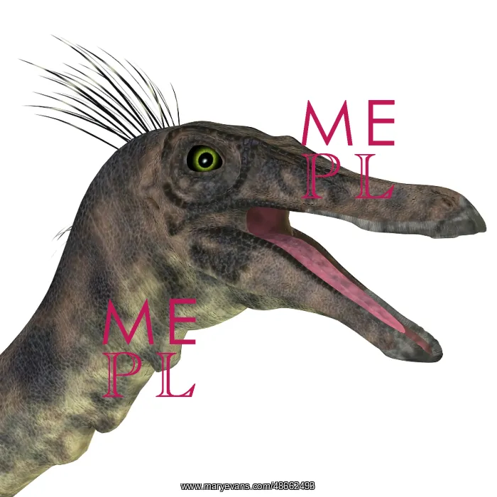 : Gallimimus dinosaur head : Gallimimus dinosaur head