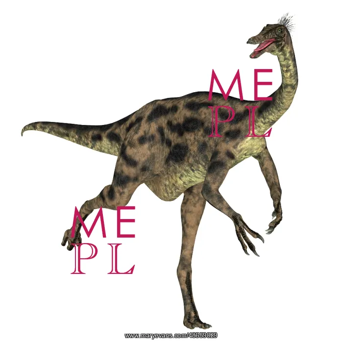 : Gallimimus dinosaur running, side view on white background : Gallimimus dinosaur running, side view on white background