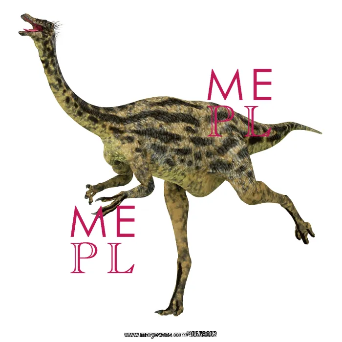 : Gallimimus dinosaur running, side view on white background : Gallimimus dinosaur running, side view on white background