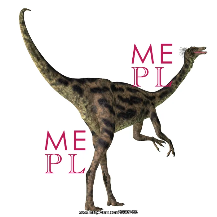 : Gallimimus dinosaur, white background : Gallimimus dinosaur, white background
