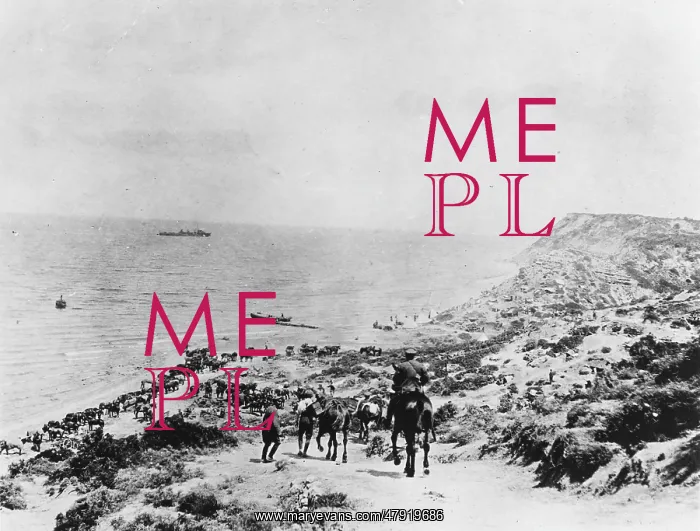  : Gallipoli beach WWI