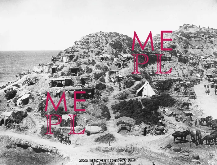 : Gallipoli WWI : Gallipoli WWI
