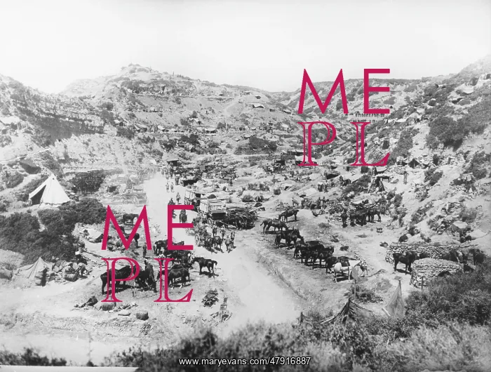  : Gallipoli WWI