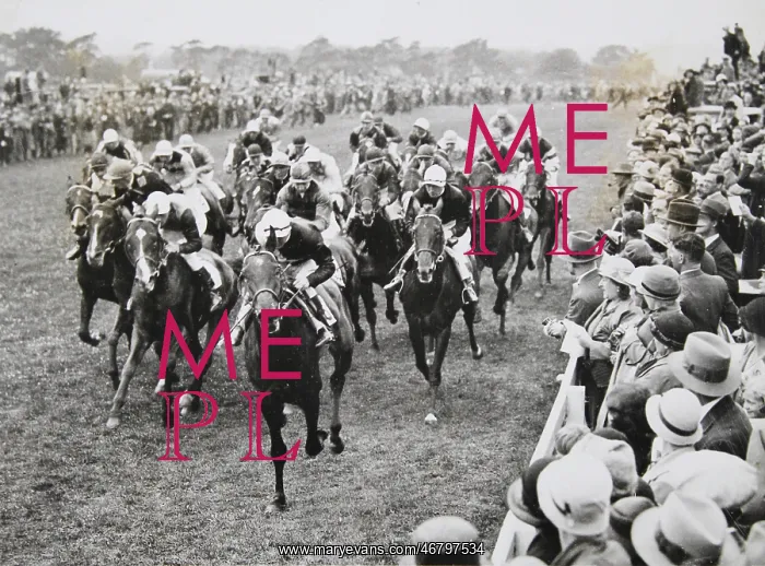 : Gallop race in Epsom : Gallop race in Epsom