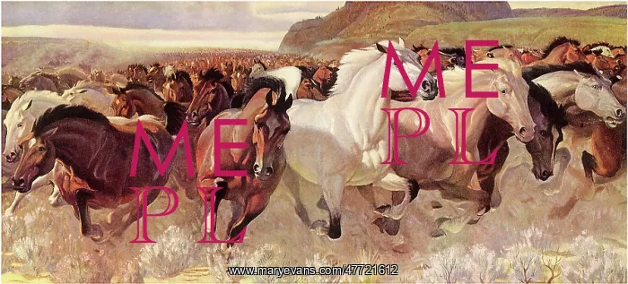 : Galloping Wild Horses