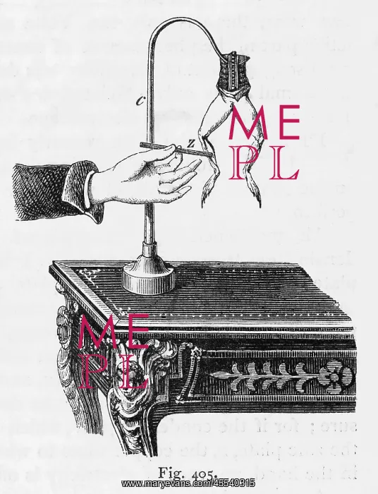 : Galvani Frog Experiment : Galvani Frog Experiment
