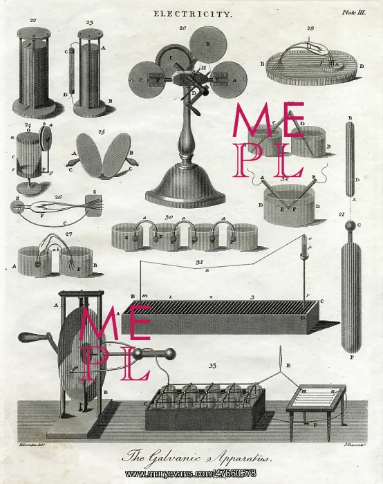  : The Galvanic Apparatus