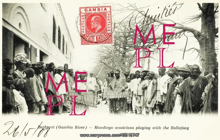 : Gambia - Bathurst - Mandingo Musicians : Gambia - Bathurst - Mandingo Musicians
