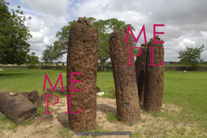  : THE GAMBIA. Wassu. Stone circles