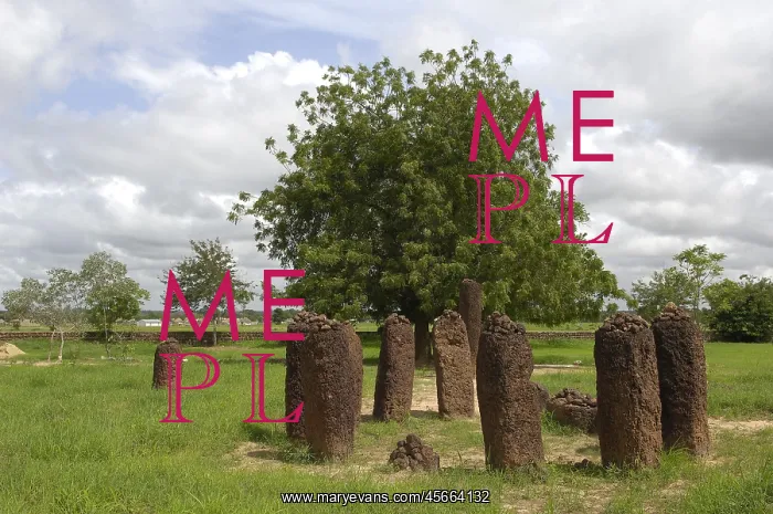  : THE GAMBIA. Wassu. Stone circles