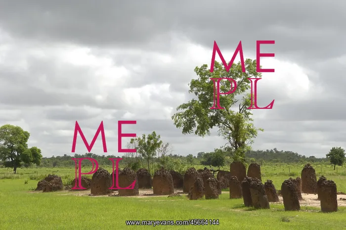  : THE GAMBIA. Wassu. Stone circles