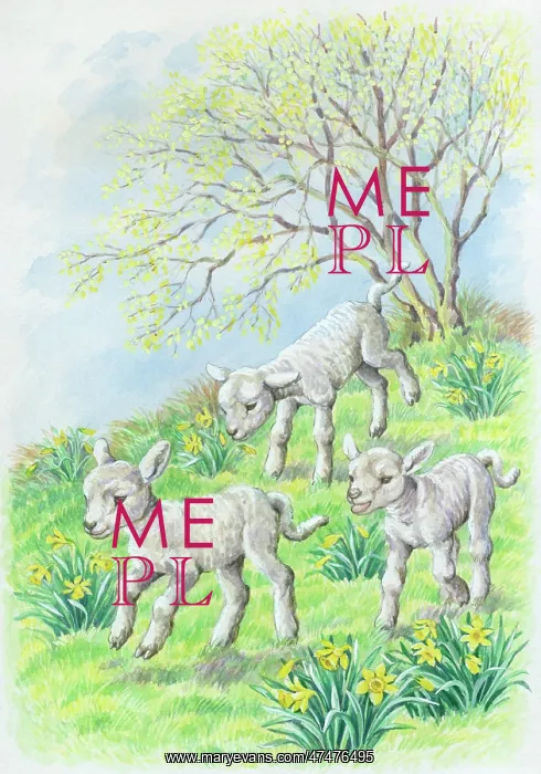 : Three Gambolling Lambs with daffodils and tree : Three Gambolling Lambs with daffodils and tree