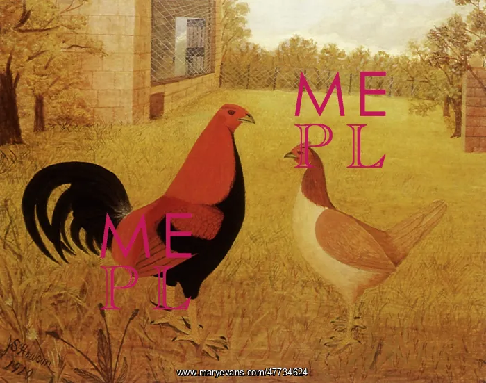  : Game Cock and Hen