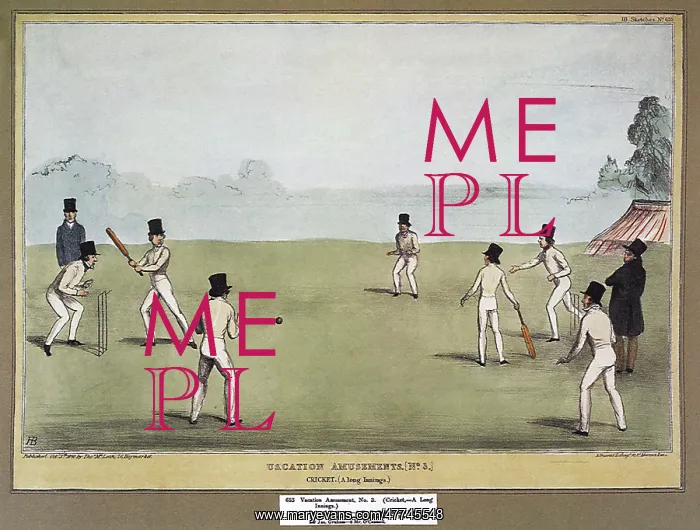  : A game of Cricket
