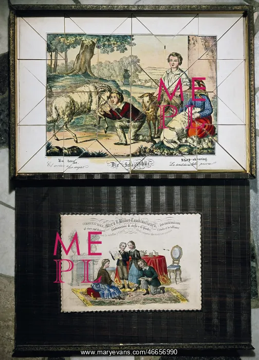 : game, jigsaw puzzle, Sheep shearing, colour lithograph : game, jigsaw puzzle, Sheep shearing, colour lithograph