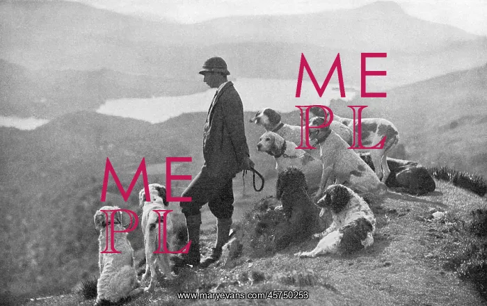 : Game Keeper with dogs : Game Keeper with dogs