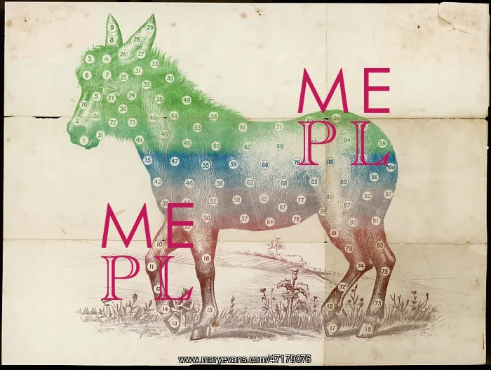  : Game: pin the tail on the donkey