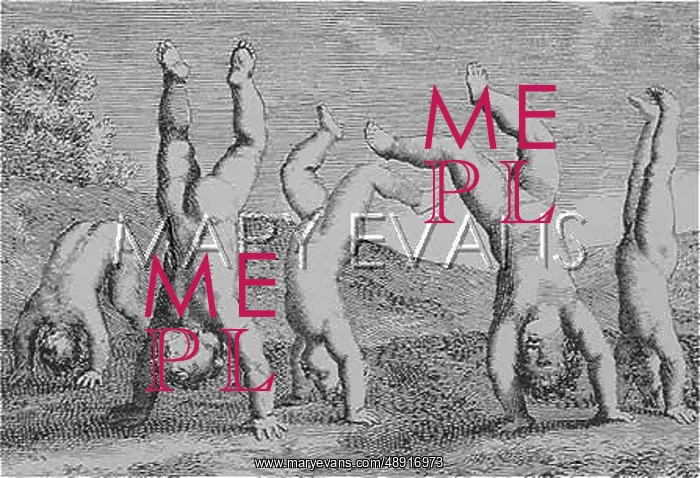 : GAME / STELLA / CULEBUTE : GAME / STELLA / CULEBUTE