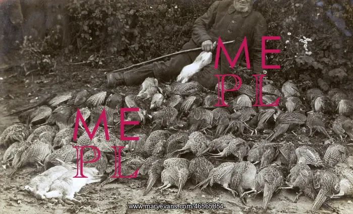 : A gamekeeper and the bag of a day's shooting : A gamekeeper and the bag of a day's shooting