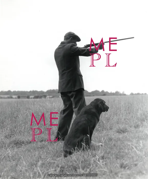 : Gamekeeper with dog and gun : Gamekeeper with dog and gun