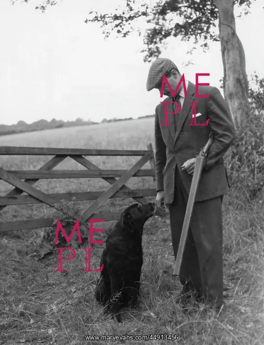 : Gamekeeper and dog standing near five-bar gate : Gamekeeper and dog standing near five-bar gate