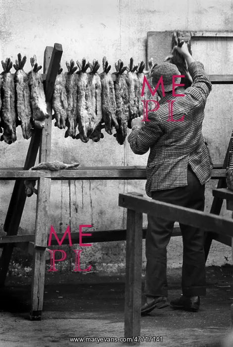 : Gamekeeper with rabbits : Gamekeeper with rabbits