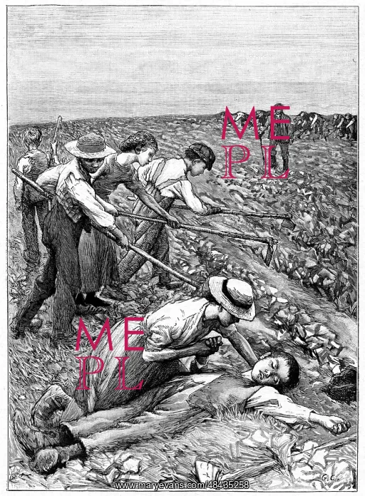 : Gang System: teams of children were formed by : Gang System: teams of children were formed by