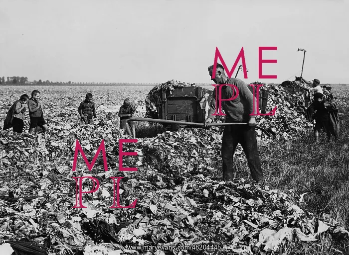 : Garbage utilization in agriculture, 1933 : Garbage utilization in agriculture, 1933