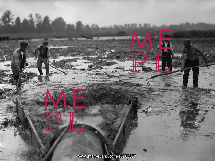 : Garbage utilization in agriculture, 1934 : Garbage utilization in agriculture, 1934