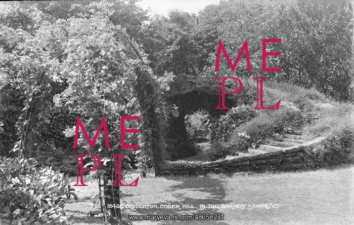 : In the Garden : In the Garden