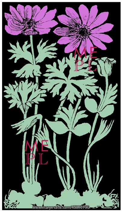 : Garden Anemone : Garden Anemone