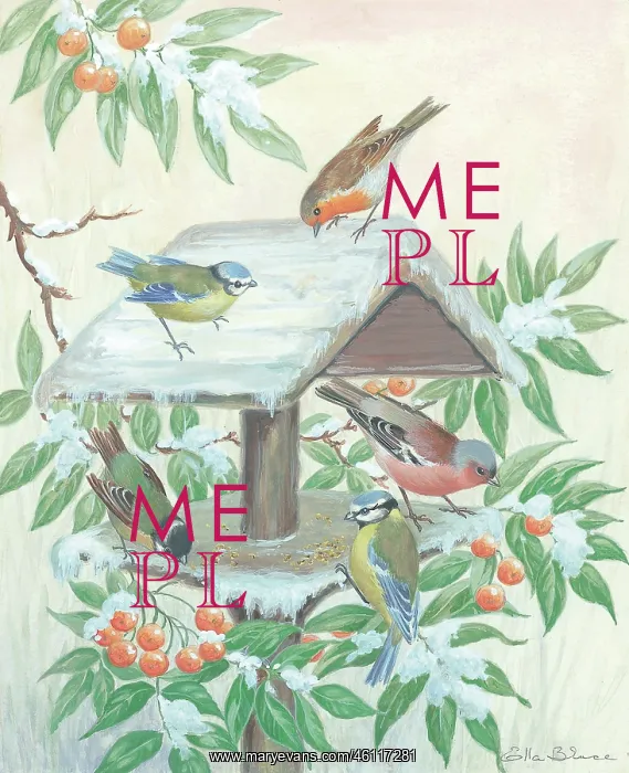 : Garden birds on bird feeder : Garden birds on bird feeder