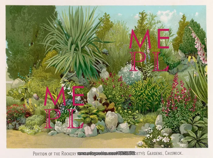  : GARDEN / CHISWICK RHS