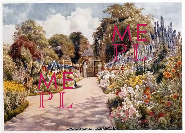 : GARDEN / DINGLEY PARK : GARDEN / DINGLEY PARK