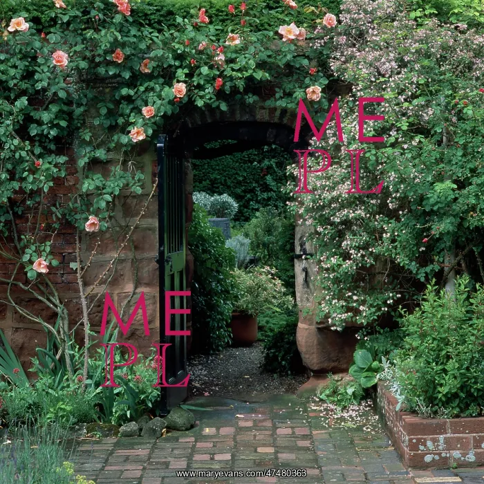: Garden doorway with climbing roses : Garden doorway with climbing roses