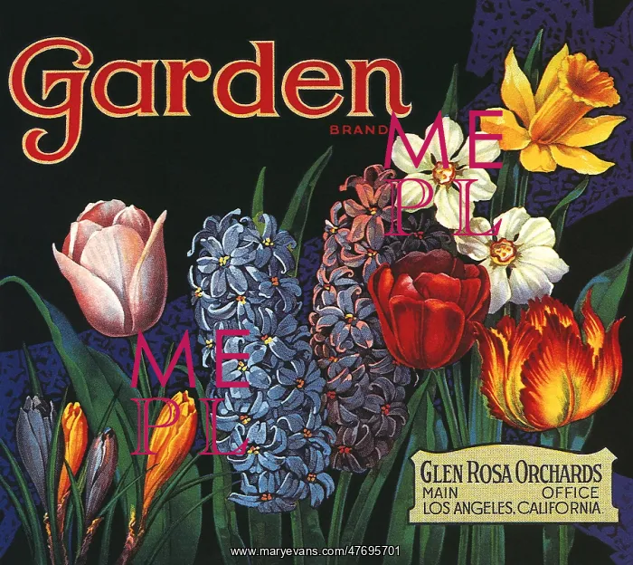  : Many Garden Flowers