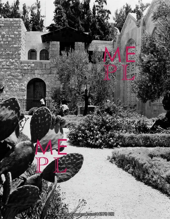 : THE GARDEN OF GETHSEMANE : THE GARDEN OF GETHSEMANE