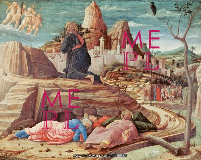 : Garden of Gethsemane : Garden of Gethsemane