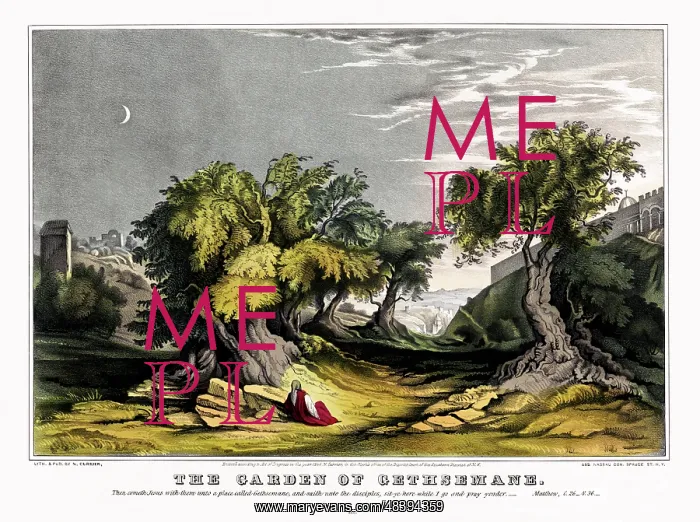 : The garden of Gethsemane : The garden of Gethsemane