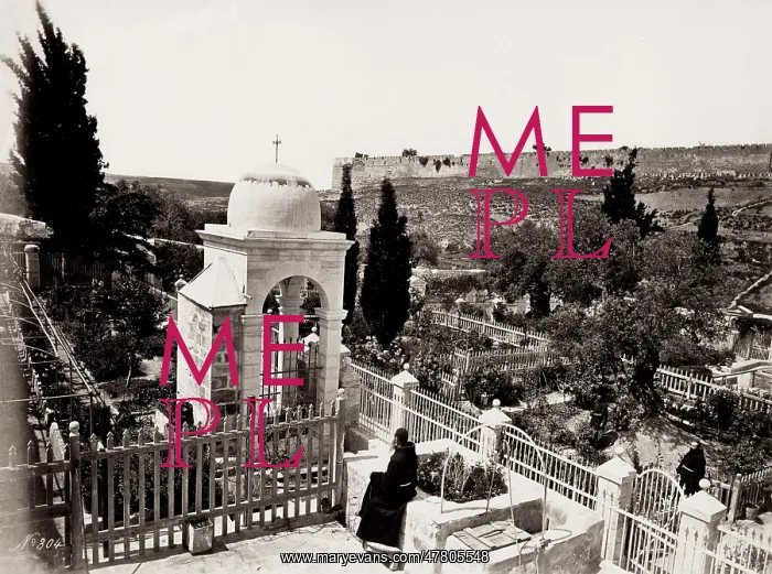 : Garden of Gethsemane, Jeruslam, Holy Land, modern Israel : Garden of Gethsemane, Jeruslam, Holy Land, modern Israel