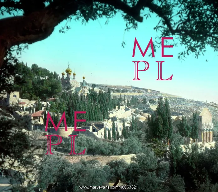 : Garden of Gethsemane - An O E Simmonds view : Garden of Gethsemane - An O E Simmonds view