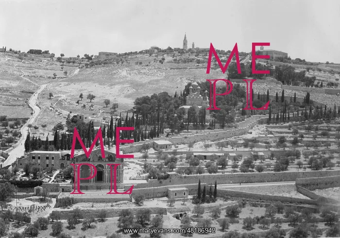 : Garden of Gethsemane and the Olberg, 1938 : Garden of Gethsemane and the Olberg, 1938