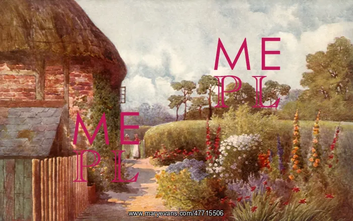  : Garden, Hedge, Stone