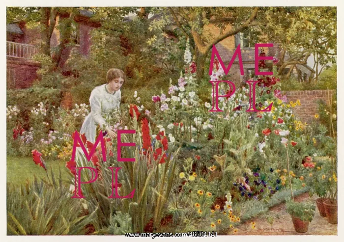 : Garden - Mrs Spooner 1908 : Garden - Mrs Spooner 1908