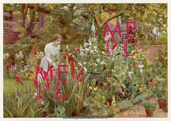 : Garden - Mrs Spooner 1908 : Garden - Mrs Spooner 1908