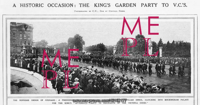 : The garden party to V.C.s at Buckingham Palace : The garden party to V.C.s at Buckingham Palace