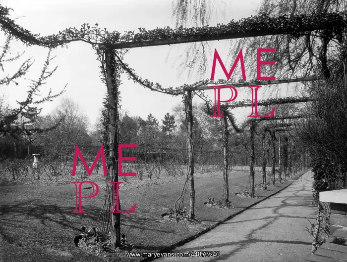 : GARDEN PERGOLA : GARDEN PERGOLA