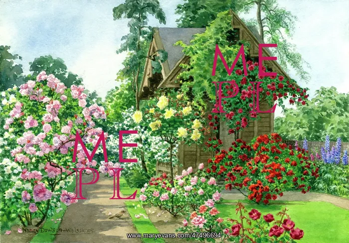 : Garden with pink, red and yellow roses etc : Garden with pink, red and yellow roses etc