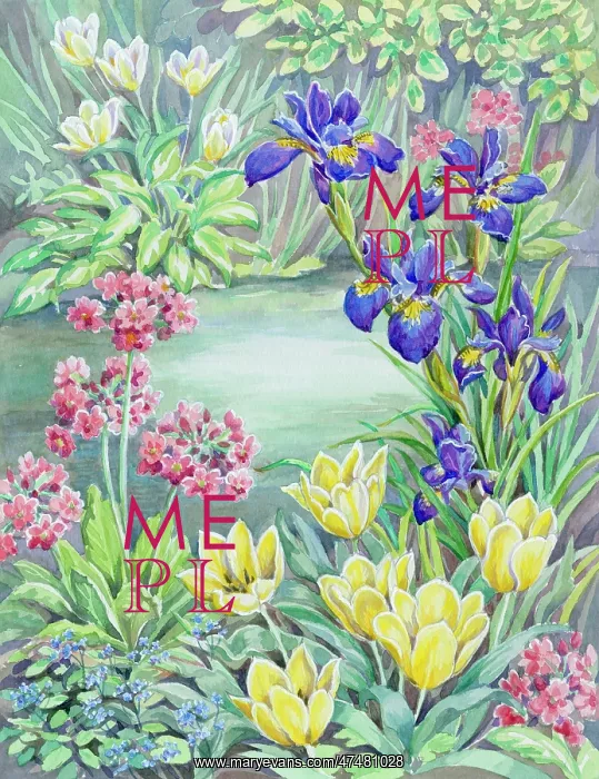 : Beside the Garden Pond ' primulas, irises, tulips : Beside the Garden Pond ' primulas, irises, tulips