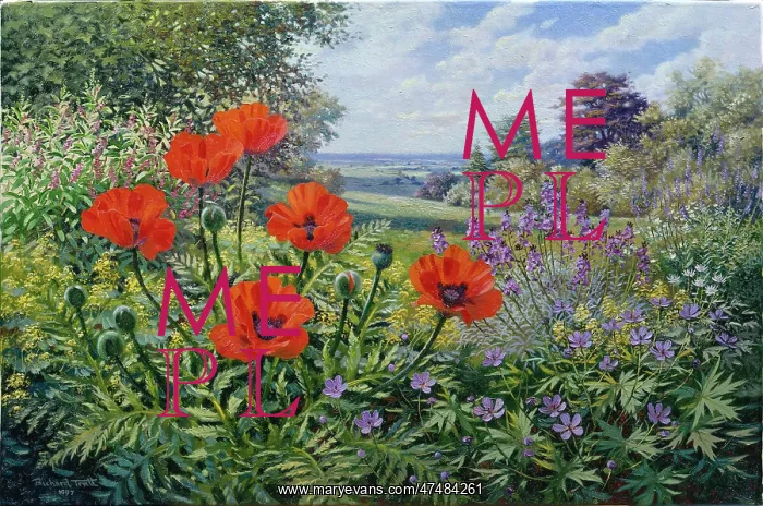 : Garden Poppies : Garden Poppies